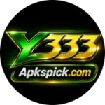 Y333